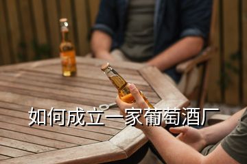 从零起步 如何成功开设一家红酒代工厂并合法经营